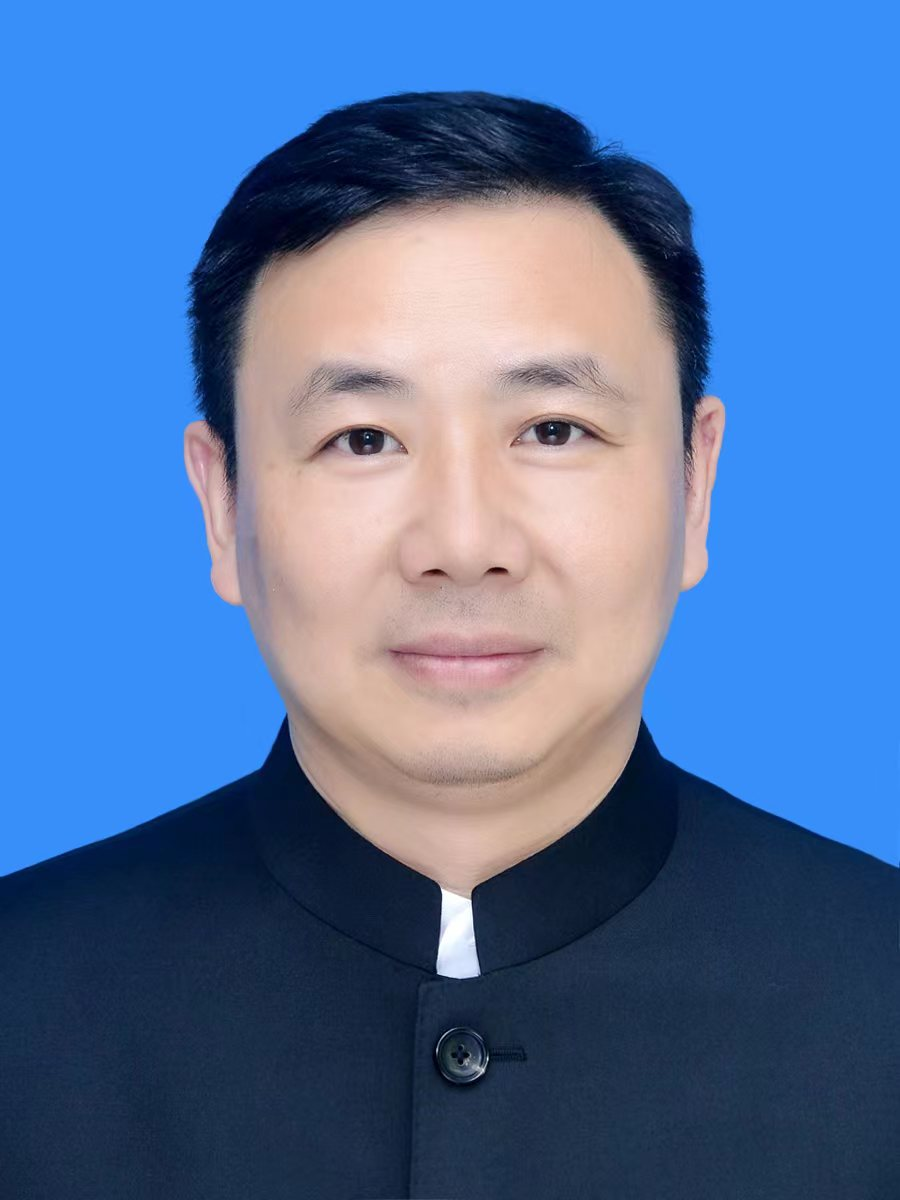 执行会长兼医疗行业分会会长刘海