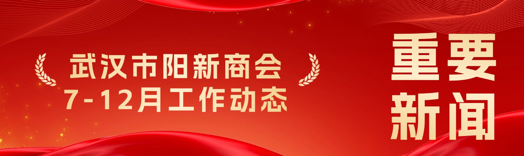 武汉市阳新商会2024年7月-12月工作动态
